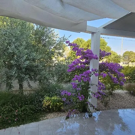 Magnolija Apartment